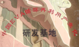 2009年中國(guó)EVA循環(huán)再利用產(chǎn)業(yè)化研發(fā)基地稱號(hào)